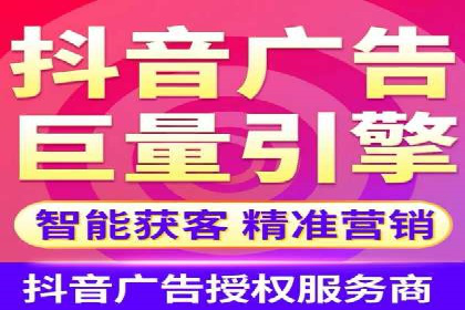 行业领先企业的SEM代理案例剖析